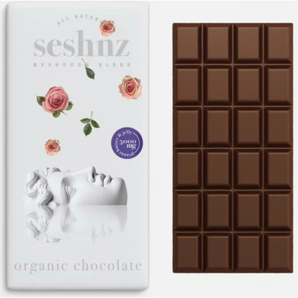 Buy Flurish Seshnz Organic Mushroom Chocolate Bar